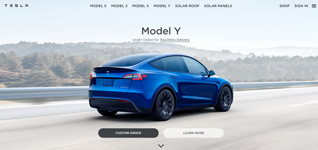Elon Musk Tesla Personal Branding Example