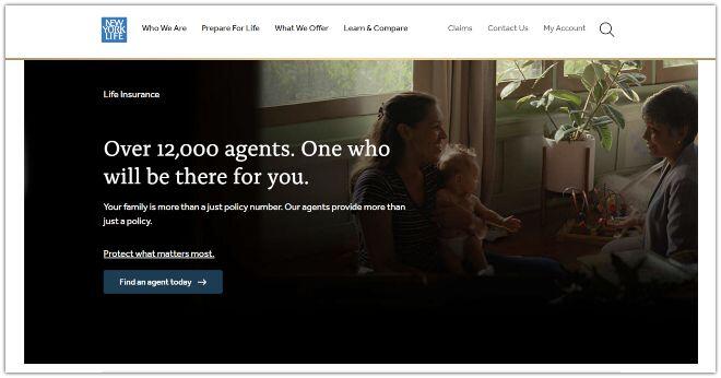 New York Life Insurance Website Example