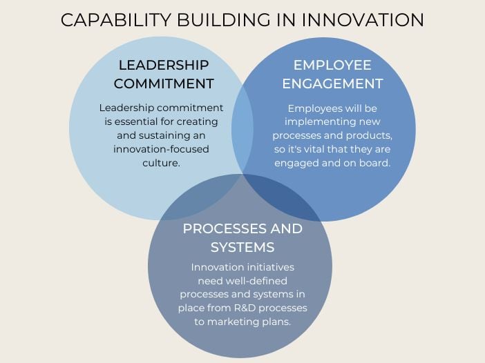 Capatibility building in innovation